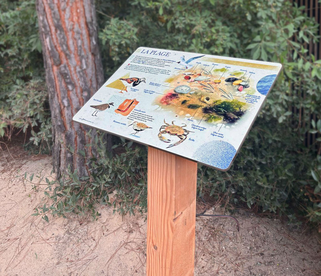 Panneau pédagogique, table de lecture, signalétique, ANT, Collection Rivages, plage, littoral
