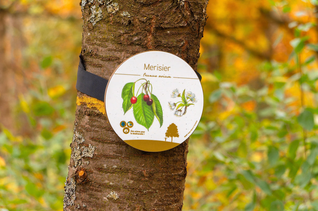 Valoriser la nature locale : une signalétique pédagogique pour l'arboretum de Duppigheim