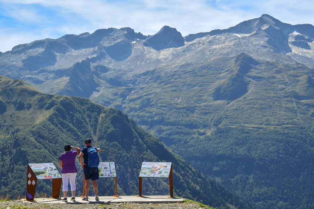 Panneau, table de lecture, signalétique, espèces, biodiversité, nature, montagne