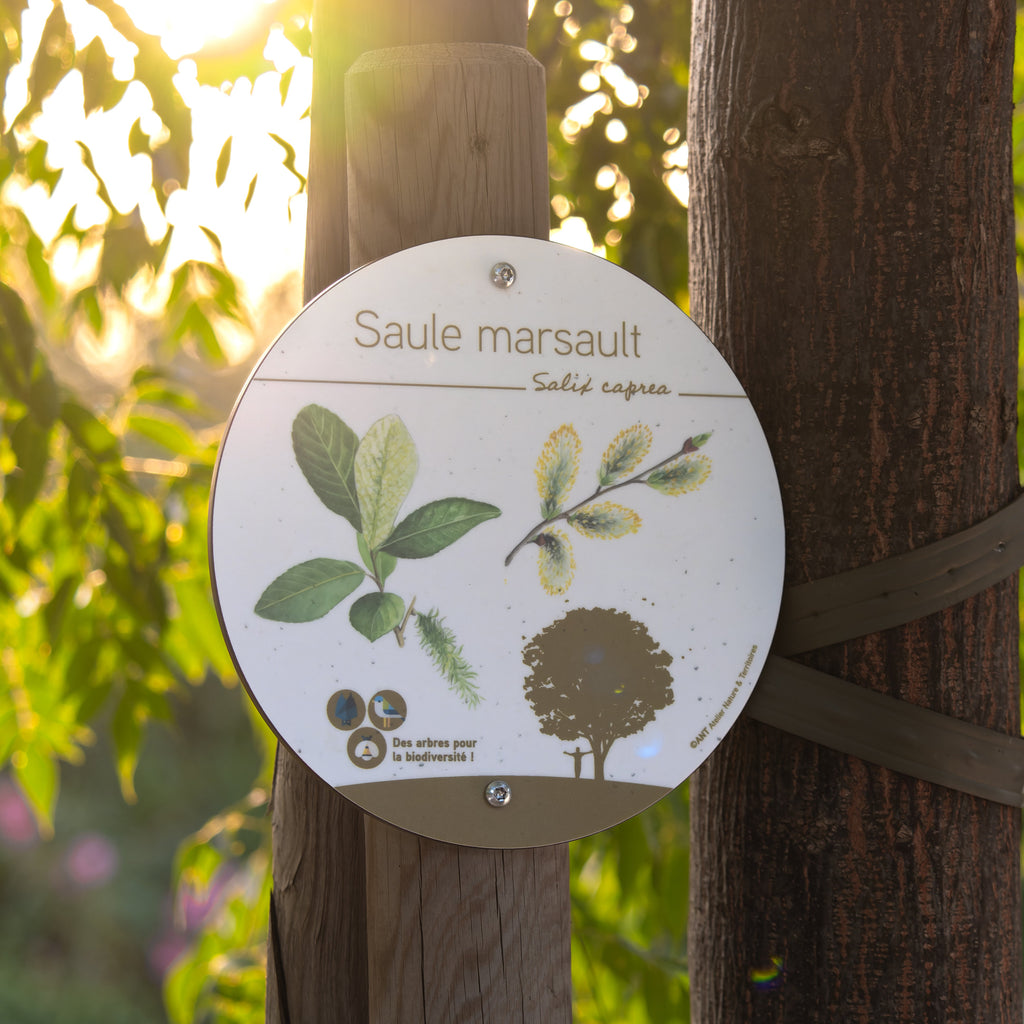 Signalétique pédagogique pour arboretum, étiquette pour nommer les arbres à fixer sur tuteurs ou supports existant. Panneaux éco-conçus en France pour arboretum, parcs, espaces naturels et jardins.