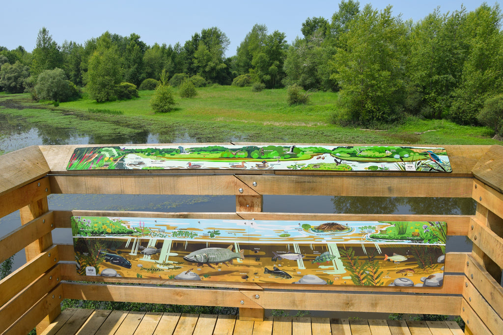 Un sentier d’interprétation pour découvrir et s’émerveiller