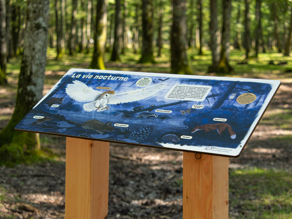 Table de lecture personnalisée sur la vie nocturne dans la forêt. Signalétique en bois écologique et durable, fabriqué en France.