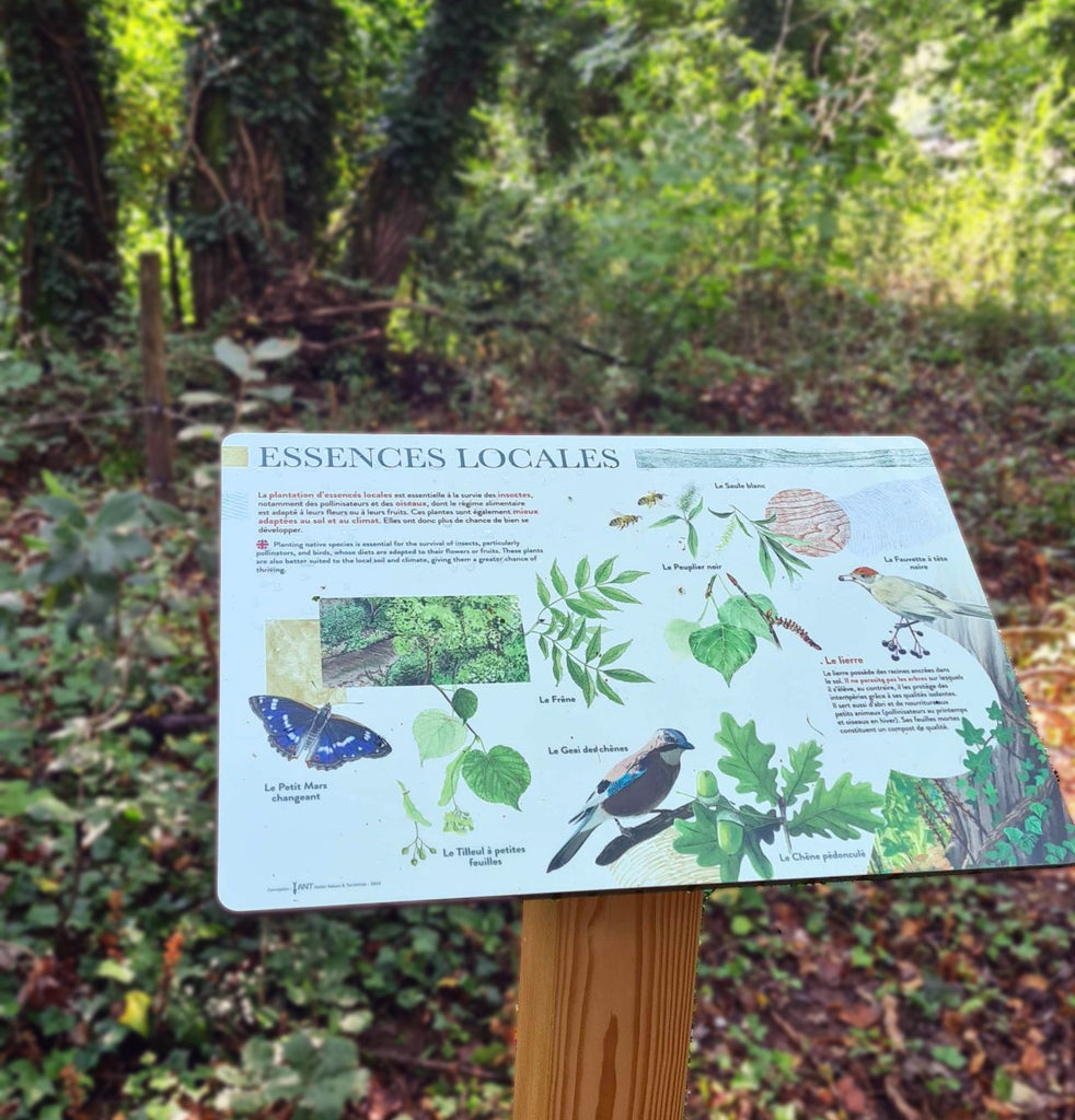 pupitre pédagogique, panneau, table de lecture, signalétique, especes, biodiversité, nature