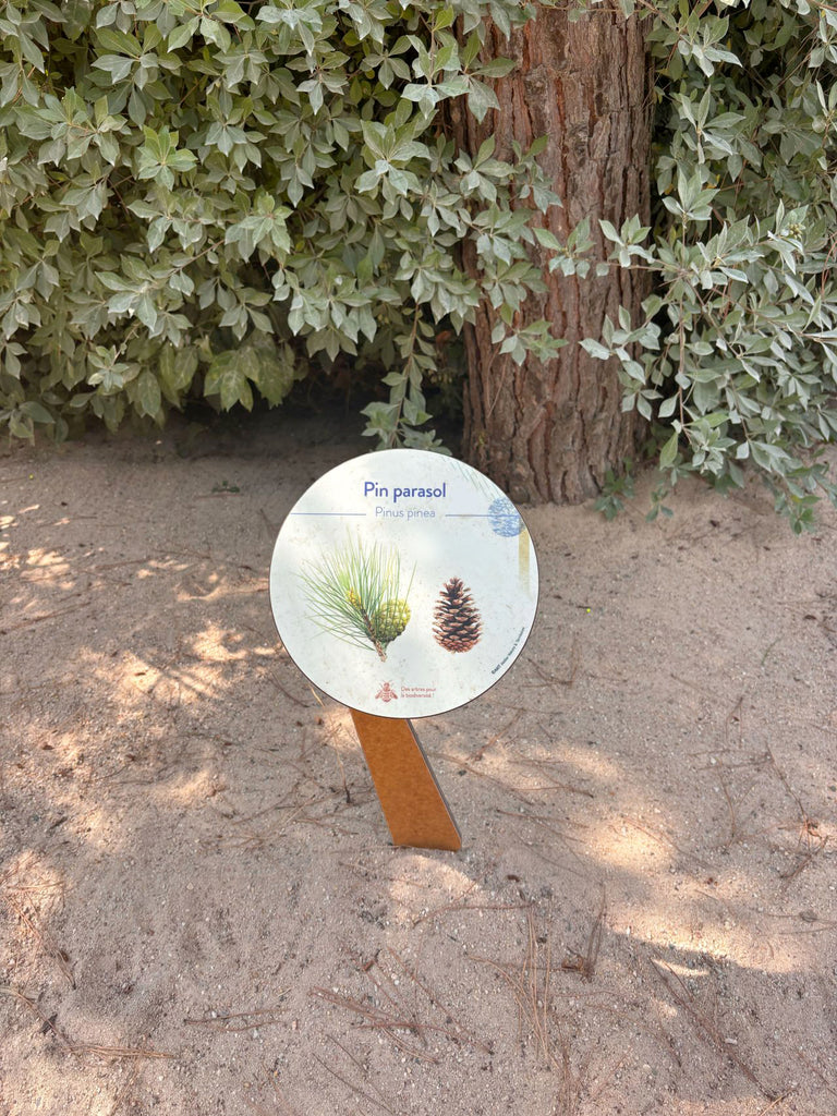 panneau arboretum, arbre, ARBOR, pin, panonceau, panonceaux, pupitre
