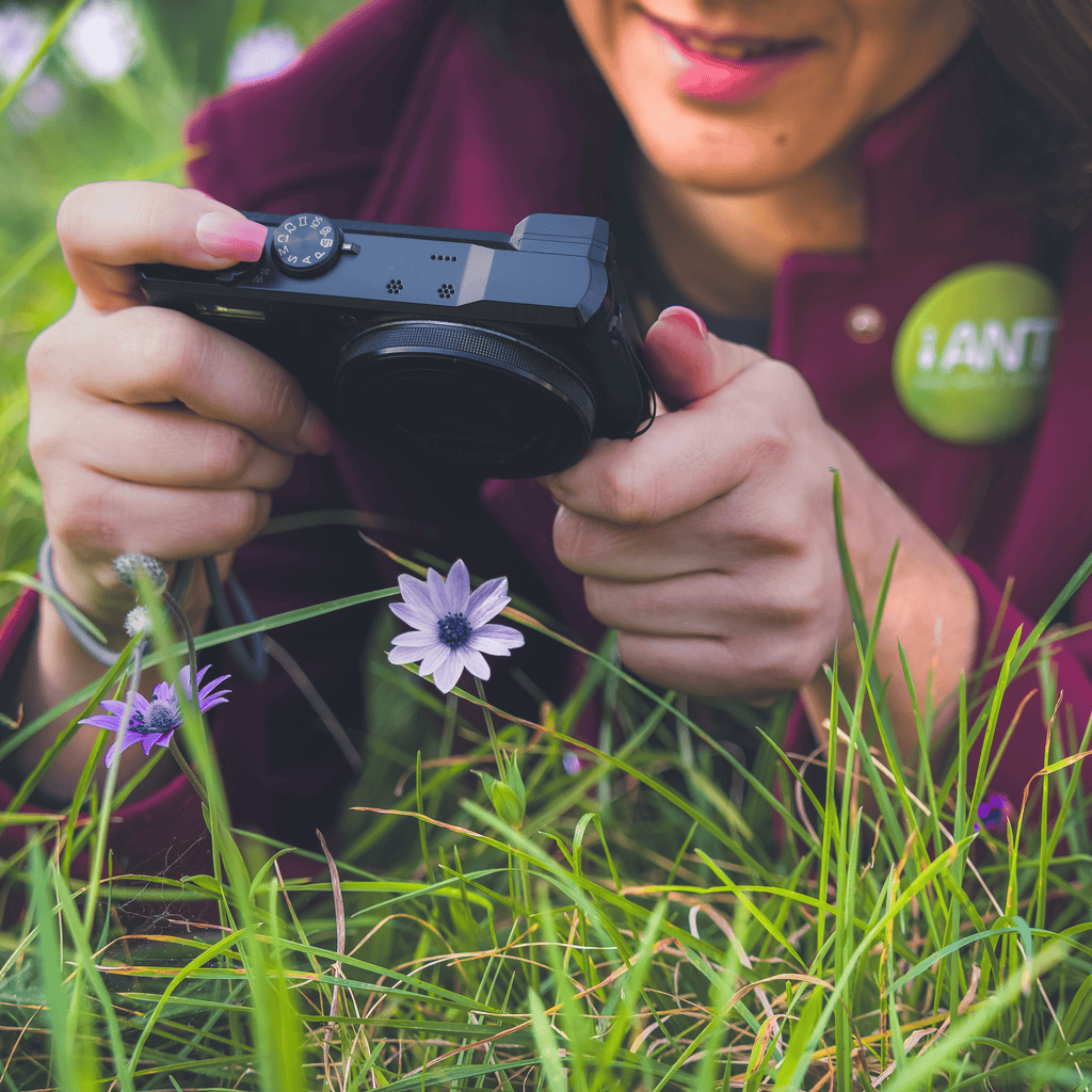 Ingénierie touristique, diagnostic écologique, médiation scientifique, design d'aménagement d'espace et d'équipements, scénographie et étude d'interprétation des patrimoines
