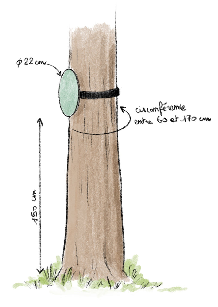 Caractéristiques d'un panneau arboretum. Fixation à l'aide d'une sangle autour d'un tronc d'arbre.