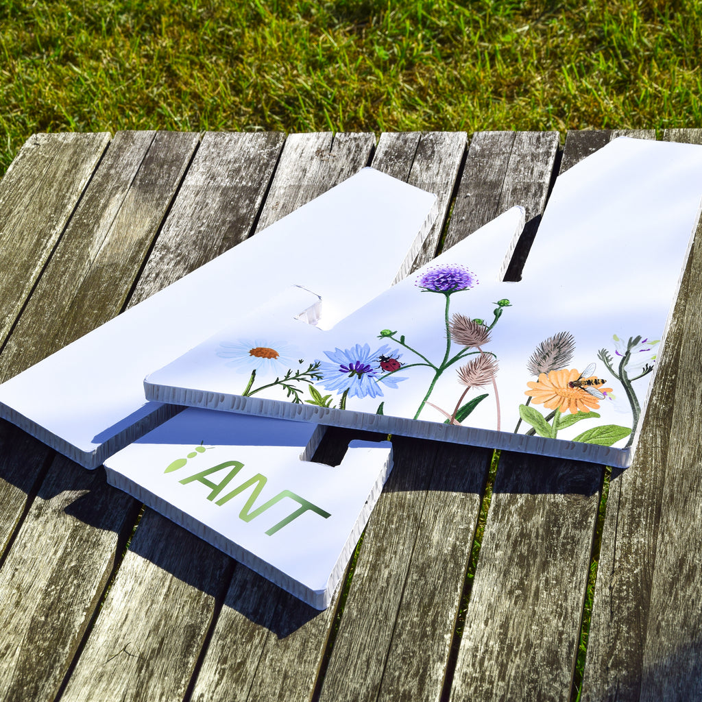 Support kit magnétique carton reboard - Atelier Nature & Territoires