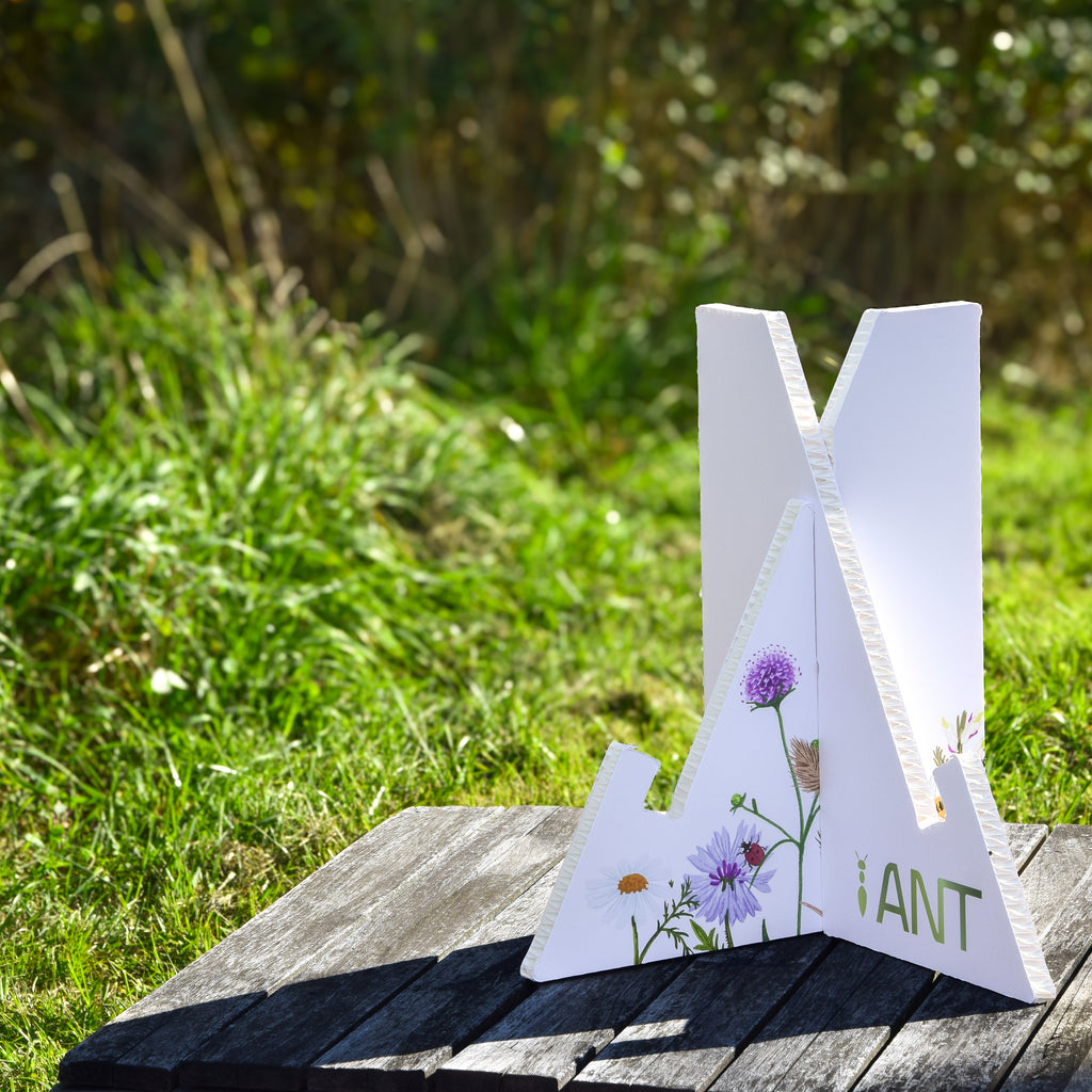 Support kit magnétique carton reboard - Atelier Nature & Territoires