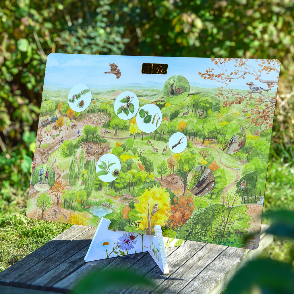 Support kit magnétique carton reboard - Atelier Nature & Territoires