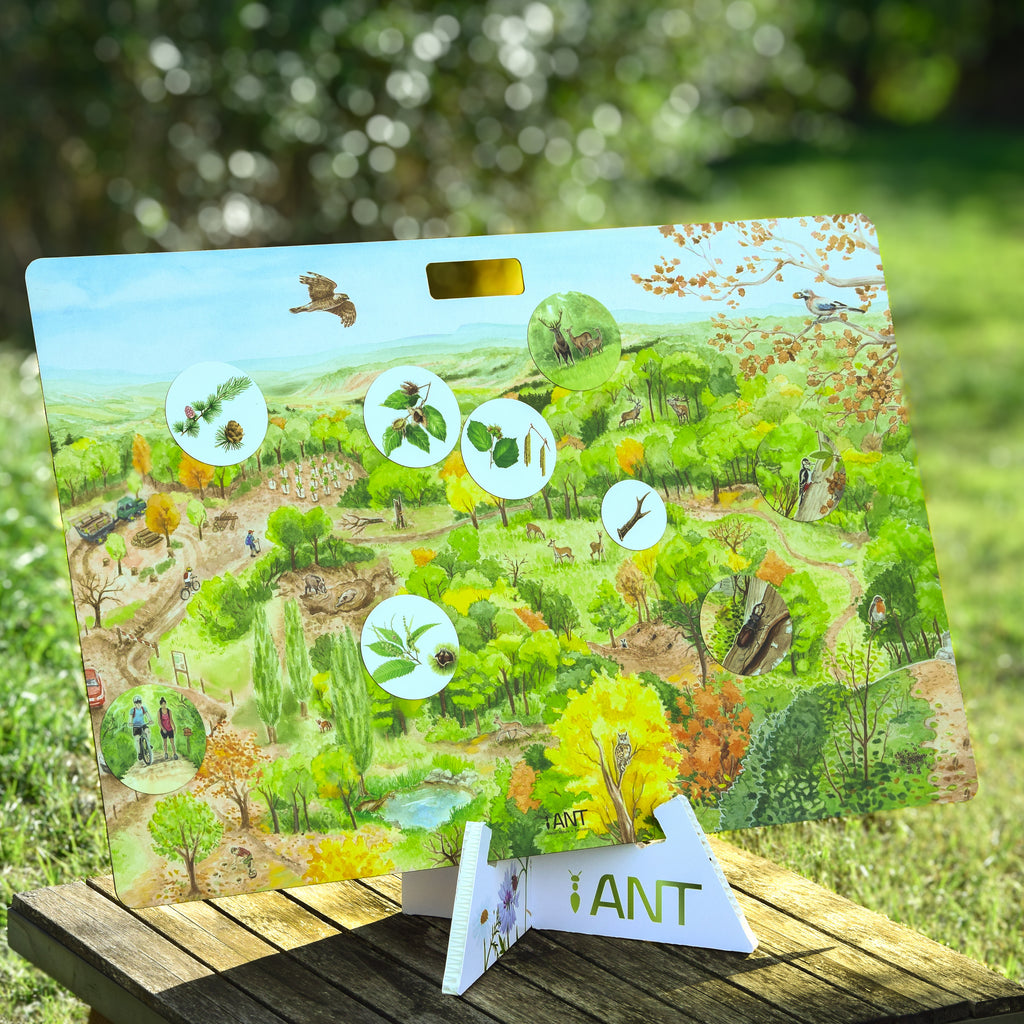 Support kit magnétique carton reboard - Atelier Nature & Territoires