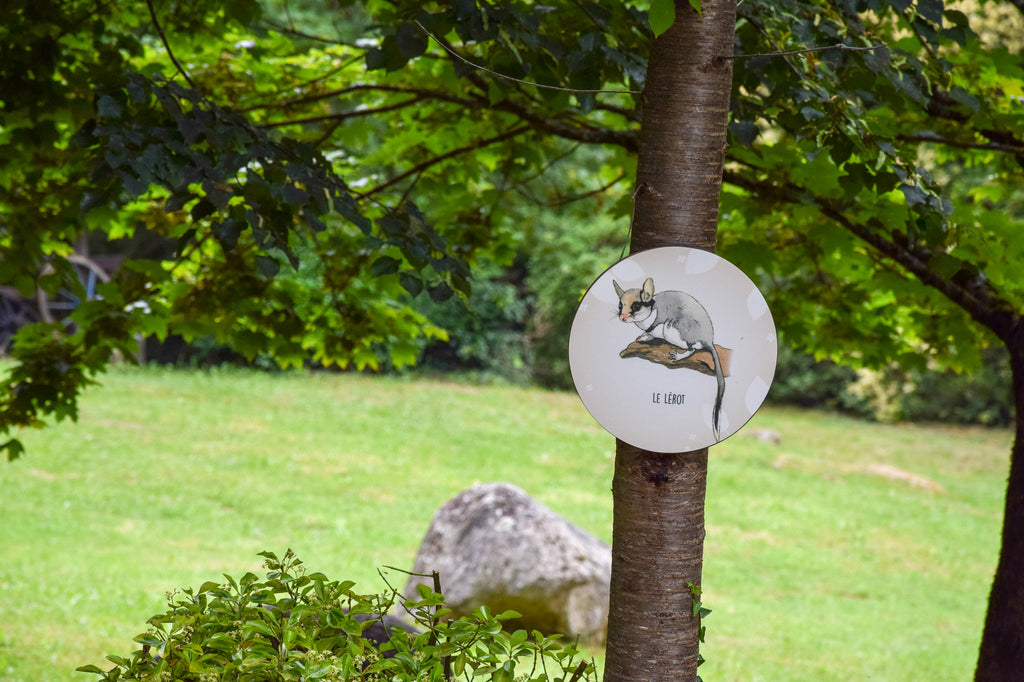 Panneau pédagogique dans les arbres, panonceau, ludique, éducatif, illustration, nature