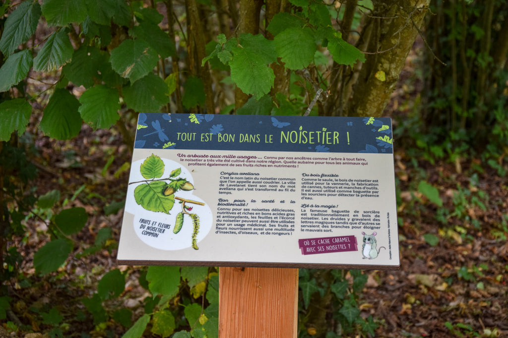 pupitre pédagogique, table de lecture, panneau d'interprétation, sentier, parcours, découverte de la nature