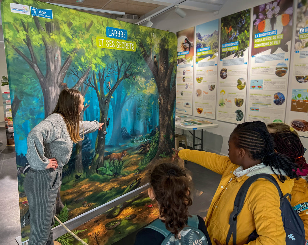 exposition, arbre, scénographie, muséographie, illustration, contenu pédagogique, médiation scientifique, nature, itinérante, modulable, bois