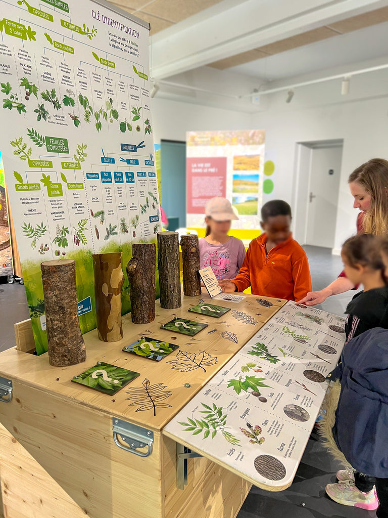 exposition, arbre, scénographie, muséographie, illustration, contenu pédagogique, médiation scientifique, nature, itinérante, modulable, bois