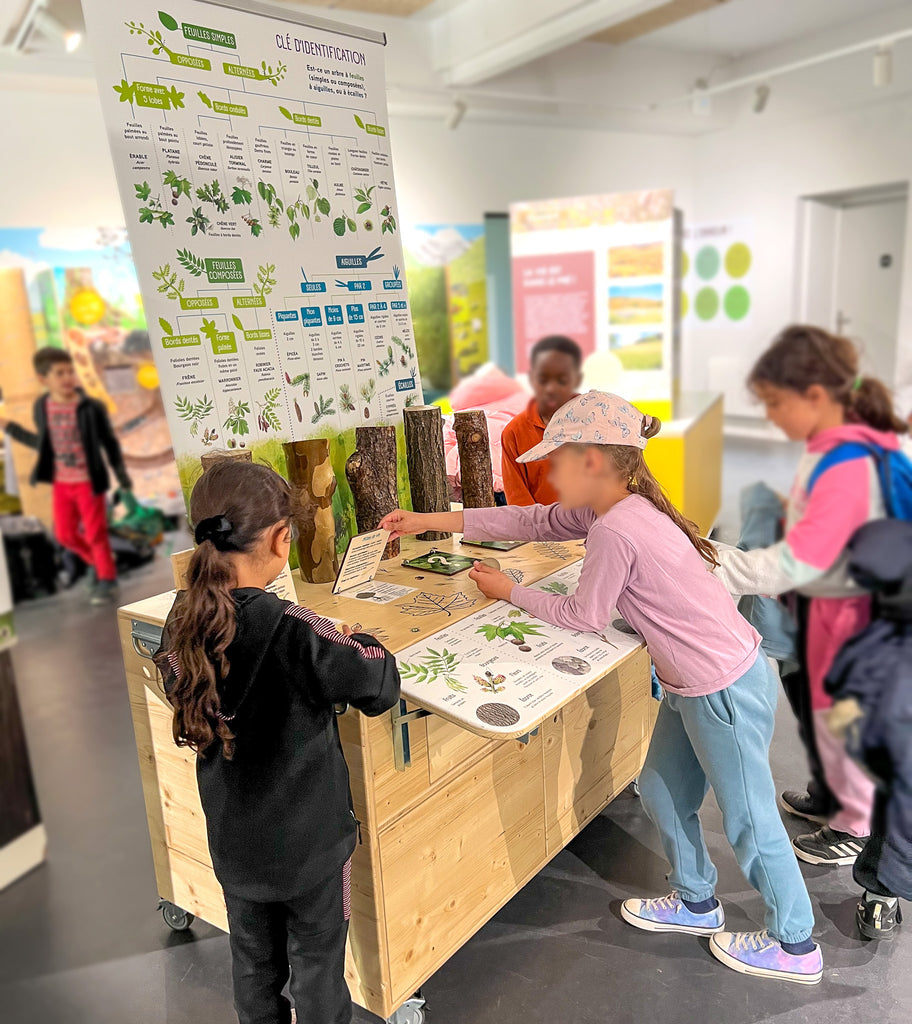 exposition, arbre, scénographie, muséographie, illustration, contenu pédagogique, médiation scientifique, nature, itinérante, modulable, bois