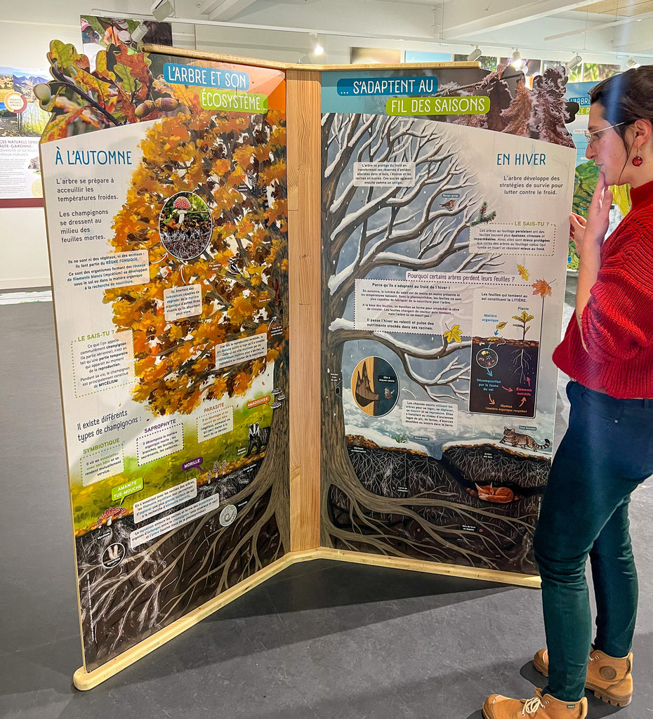 exposition, arbre, scénographie, muséographie, illustration, contenu pédagogique, médiation scientifique, nature, itinérante, modulable, bois