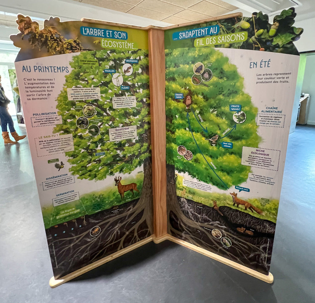 exposition, arbre, scénographie, muséographie, illustration, contenu pédagogique, médiation scientifique, nature, itinérante, modulable, bois