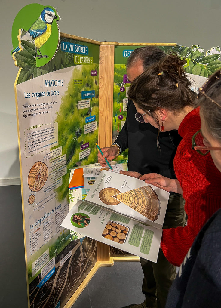 exposition, arbre, scénographie, muséographie, illustration, contenu pédagogique, médiation scientifique, nature, itinérante, modulable, bois