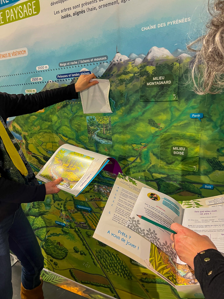 exposition, arbre, scénographie, muséographie, illustration, contenu pédagogique, médiation scientifique, nature, itinérante, modulable, bois