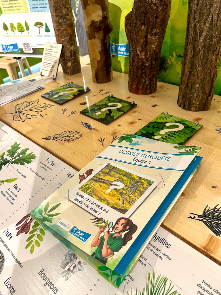 exposition, arbre, scénographie, muséographie, illustration, contenu pédagogique, médiation scientifique, nature, itinérante, modulable, bois