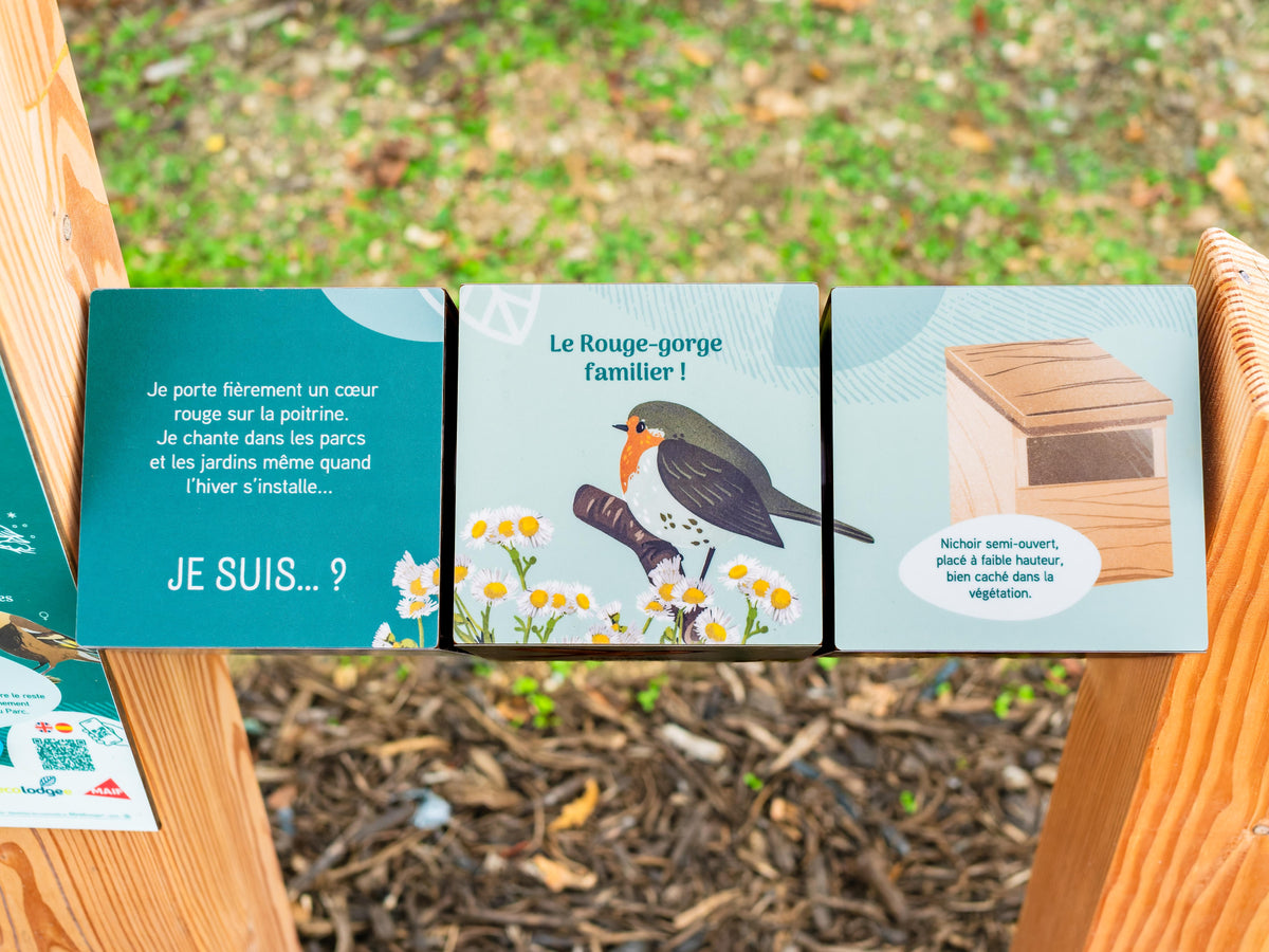 Cubes à tourner - Atelier Nature & Territoires