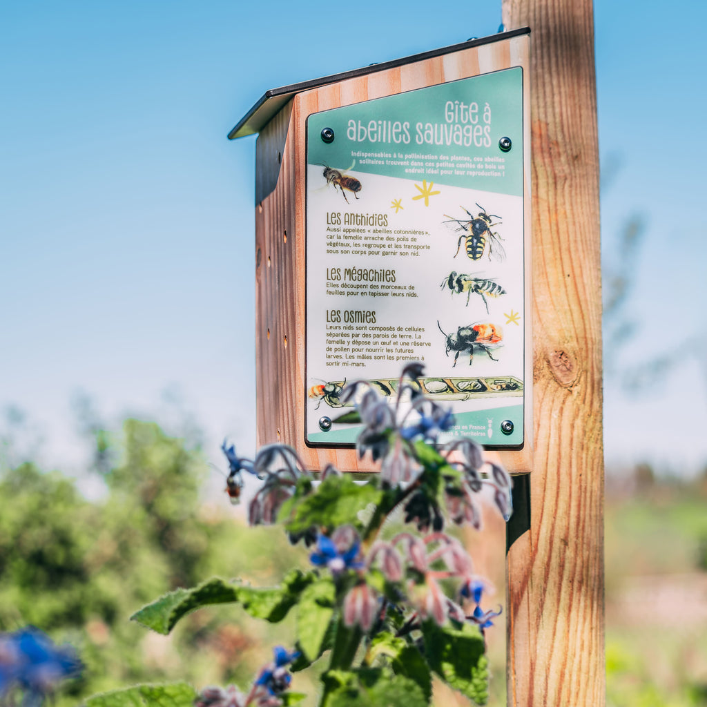 Gite à abeilles éco-conçu, idéal pour accueillir les abeilles sauvages, appelées aussi "solitaires", comme les Osmies, les Mégachiles ou encore les Anthidies.