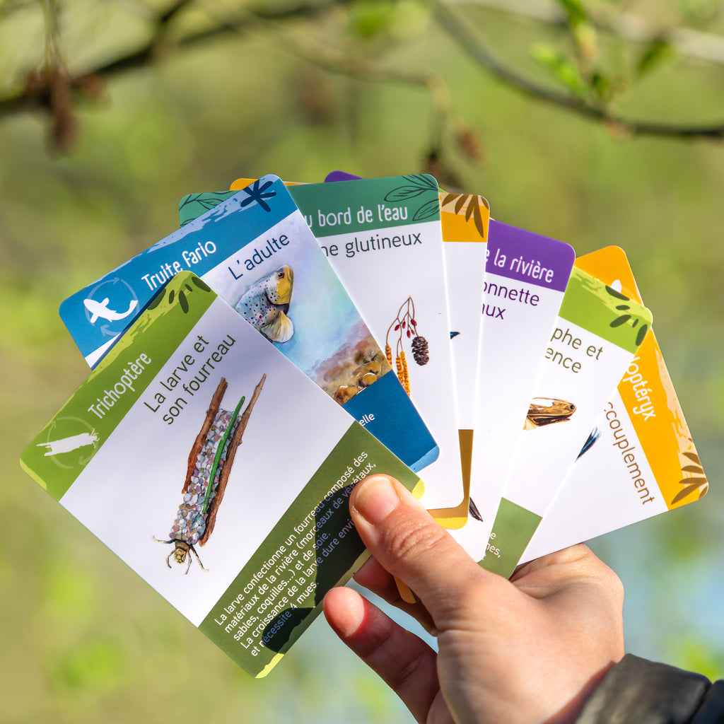 Jeu de cartes pédagogique sur les animaux et les plantes des rivières et des lacs. Jeu de familles sur la biodiversité, la faune et la flore. Cartes indéchirables pour enfants.