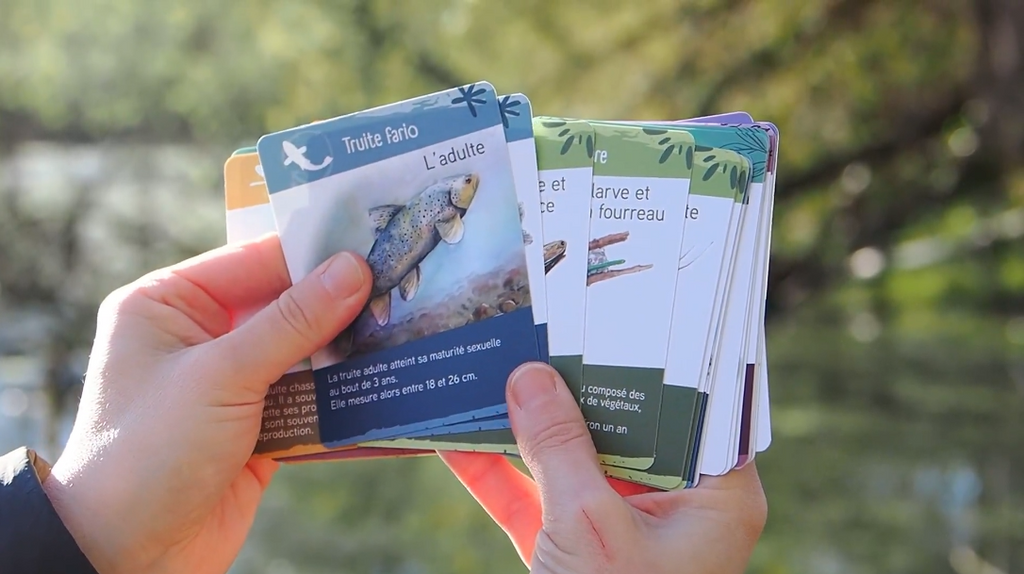 Jeu de cartes pédagogique sur les animaux et les plantes des rivières et des lacs. Jeu de familles sur la biodiversité, la faune et la flore. Cartes indéchirables pour enfants.
