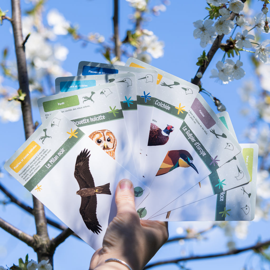 Jeu de cartes pédagogique sur les oiseaux. C'est à la fois un jeu de 7 familles pour apprendre à reconnaître les oiseaux et leurs habitats. Il permet également un jeu dynamique d'association (forme du bec et alimentation) décrit dans le livret d'accompagnement.