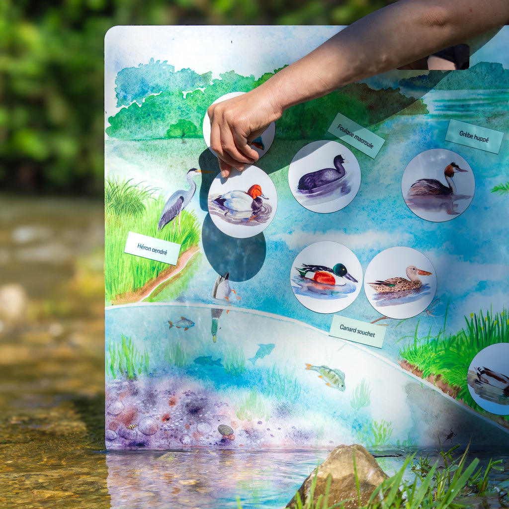 Kits P dagogiques Pour L ducation L environnement kits-p-dagogiques-pour-l-ducation-l-environnement