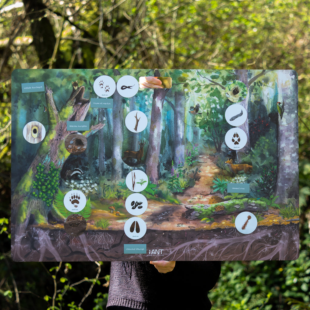 Outil pédagogique magnétique pour l'éducation à l'environnement sur le thème de la forêt. Composé d'un grand panneau magnétique et des magnets manipulables sur le rôle de la forêt, sur sa faune et sa flore, les traces et indices laissés par les animaux, leur habitat et cycle de vie, ainsi que sur les usages de la forêt par les humains. Conçu en France pour vos animations nature, classe dehors, école, centre de loisirs