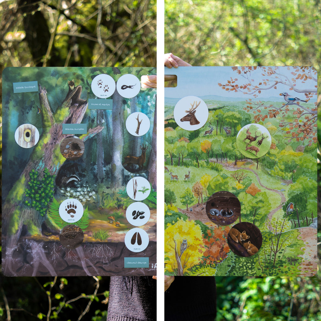Outil pédagogique magnétique pour l'éducation à l'environnement sur le thème de la forêt. Composé d'un grand panneau magnétique et des magnets manipulables sur le rôle de la forêt, sur sa faune et sa flore, les traces et indices laissés par les animaux, leur habitat et cycle de vie, ainsi que sur les usages de la forêt par les humains. Conçu en France pour vos animations nature, classe dehors, école, centre de loisirs