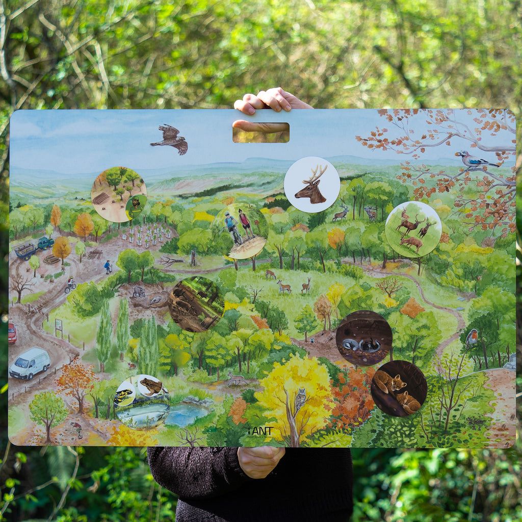 Outil pédagogique magnétique pour l'éducation à l'environnement sur le thème de la forêt. Composé d'un grand panneau magnétique et des magnets manipulables sur le rôle de la forêt, sur sa faune et sa flore, les traces et indices laissés par les animaux, leur habitat et cycle de vie, ainsi que sur les usages de la forêt par les humains. Conçu en France pour vos animations nature, classe dehors, école, centre de loisirs