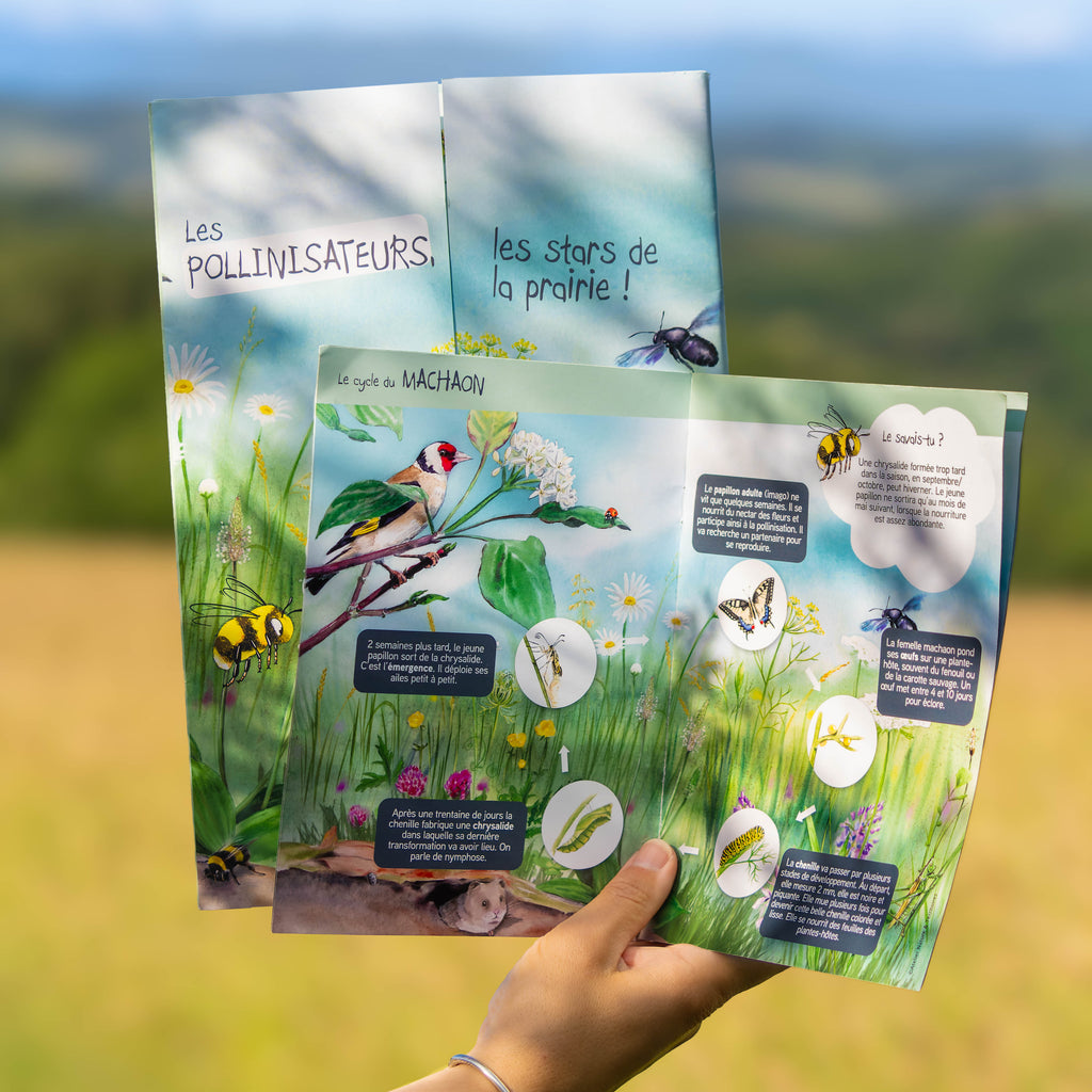 Kits P dagogiques Pour L ducation L environnement Kits P dagogiques Pour L ducation L environnement