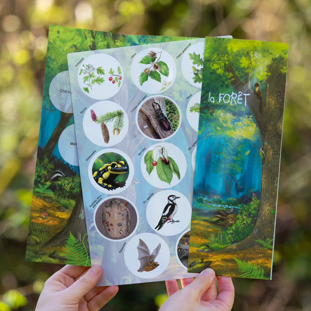 Outil éducatif pour animateurs nature. Livret pour préparer son atelier et tout savoir sur la forêt et ses usages. Outil intéractif pour l'éducation à l'environnement.