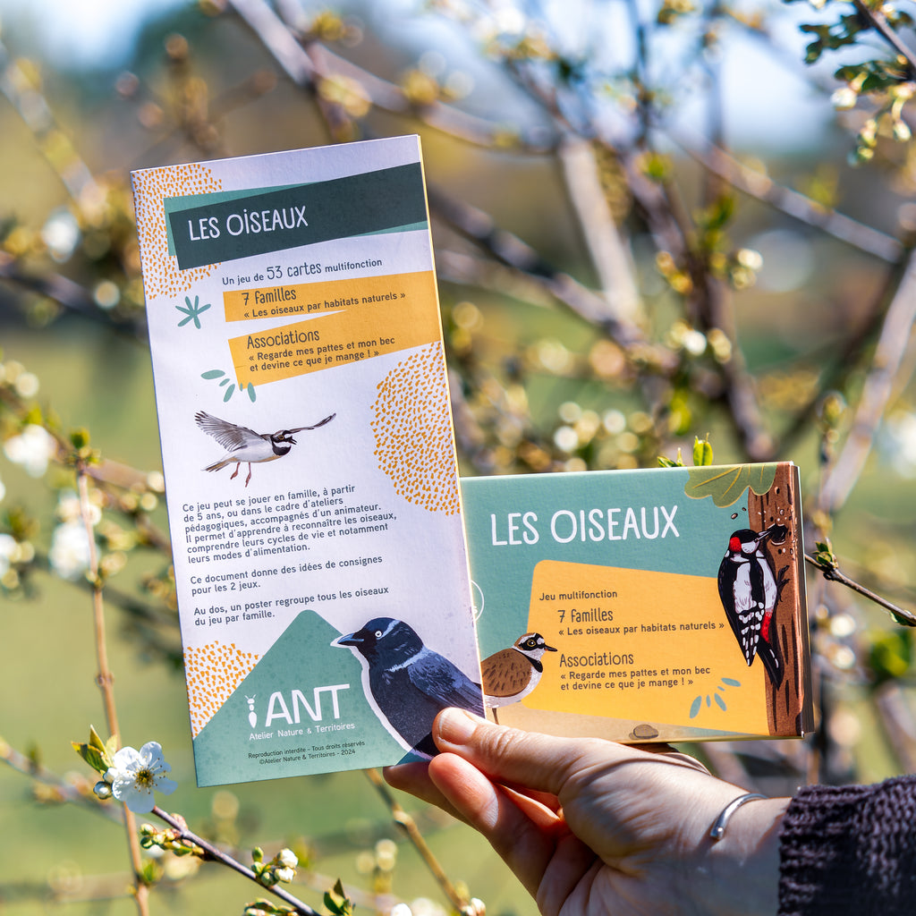 Outil éducatif pour animateurs nature. Livret avec la liste de tous les oiseaux, les règles du jeu et des idées d’animation. Outil intéractif pour l'éducation à l'environnement.