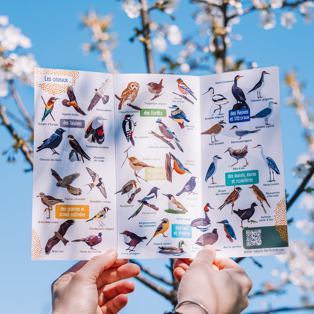 Outil éducatif pour animateurs nature. Livret avec la liste de tous les oiseaux, les règles du jeu et des idées d’animation. Outil intéractif pour l'éducation à l'environnement.