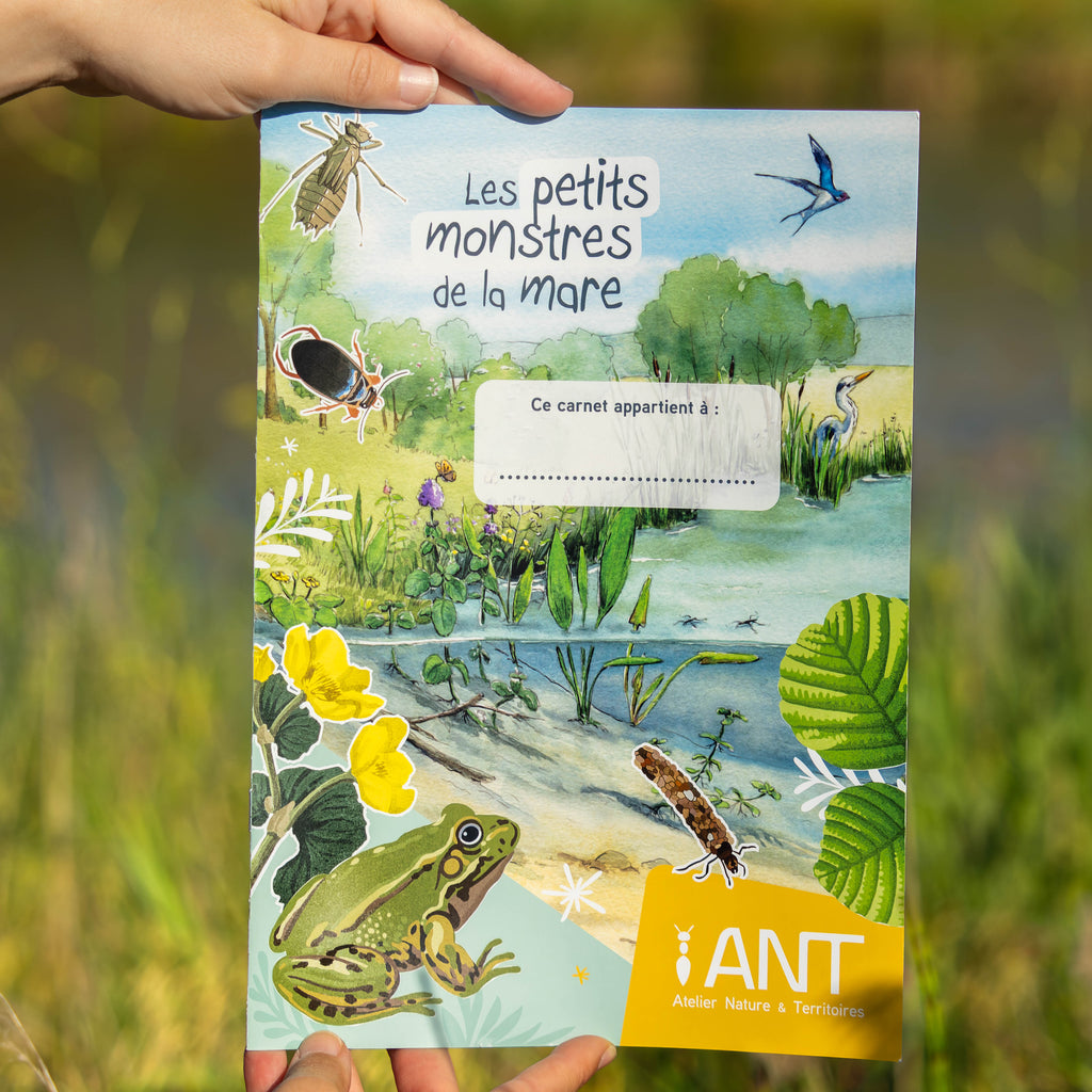 Jeu pour l'éducation à l'environnement sur le thème de la faune et de la flore de la mare. Les enfants doivent cocher et reconnaître les espèces de la mare. Médiation scientifique, outil pédagogique, classe du dehors, classe découverte, nature