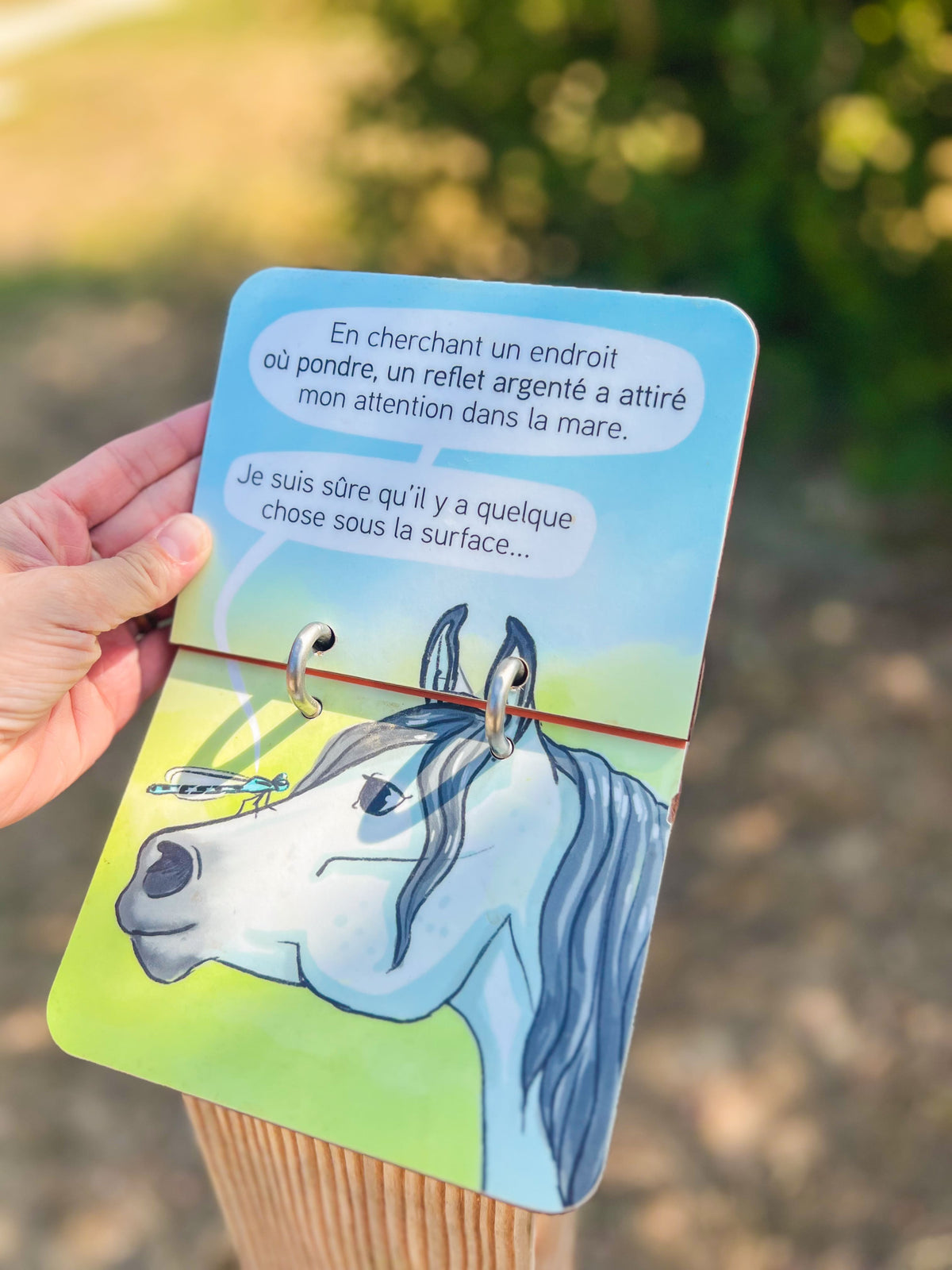 Bornes pédagogiques et directionnelles - Atelier Nature & Territoires