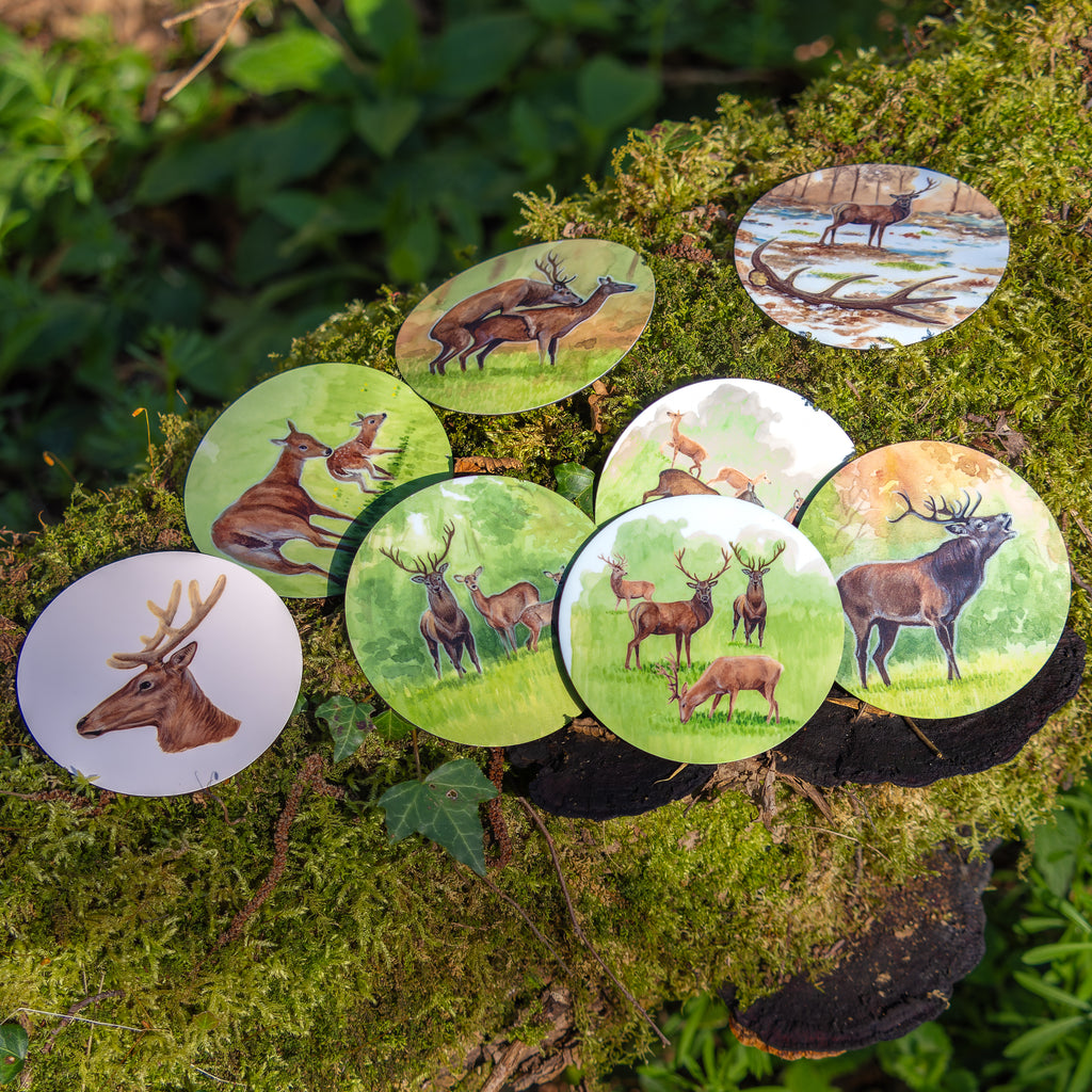 Outil pédagogique magnétique pour l'éducation à l'environnement sur le thème de la haie. Magnets manipulables sur le rôle de la forêt, sur sa faune et sa flore et ses usages. Conçu en France pour vos animations nature, classe dehors, école, centre de loisirs
