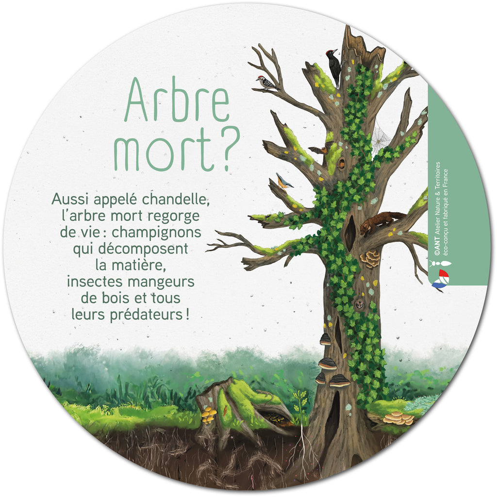 Panneau pédagogique écologique fixé dans le sol sans béton sur l'arbre mort