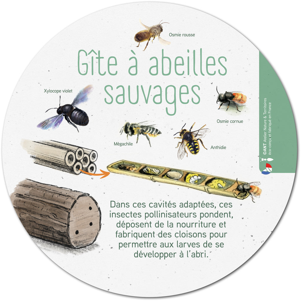 Panneau pédagogique écologique fixé dans le sol sans béton sur les gîtes à abeilles sauvages