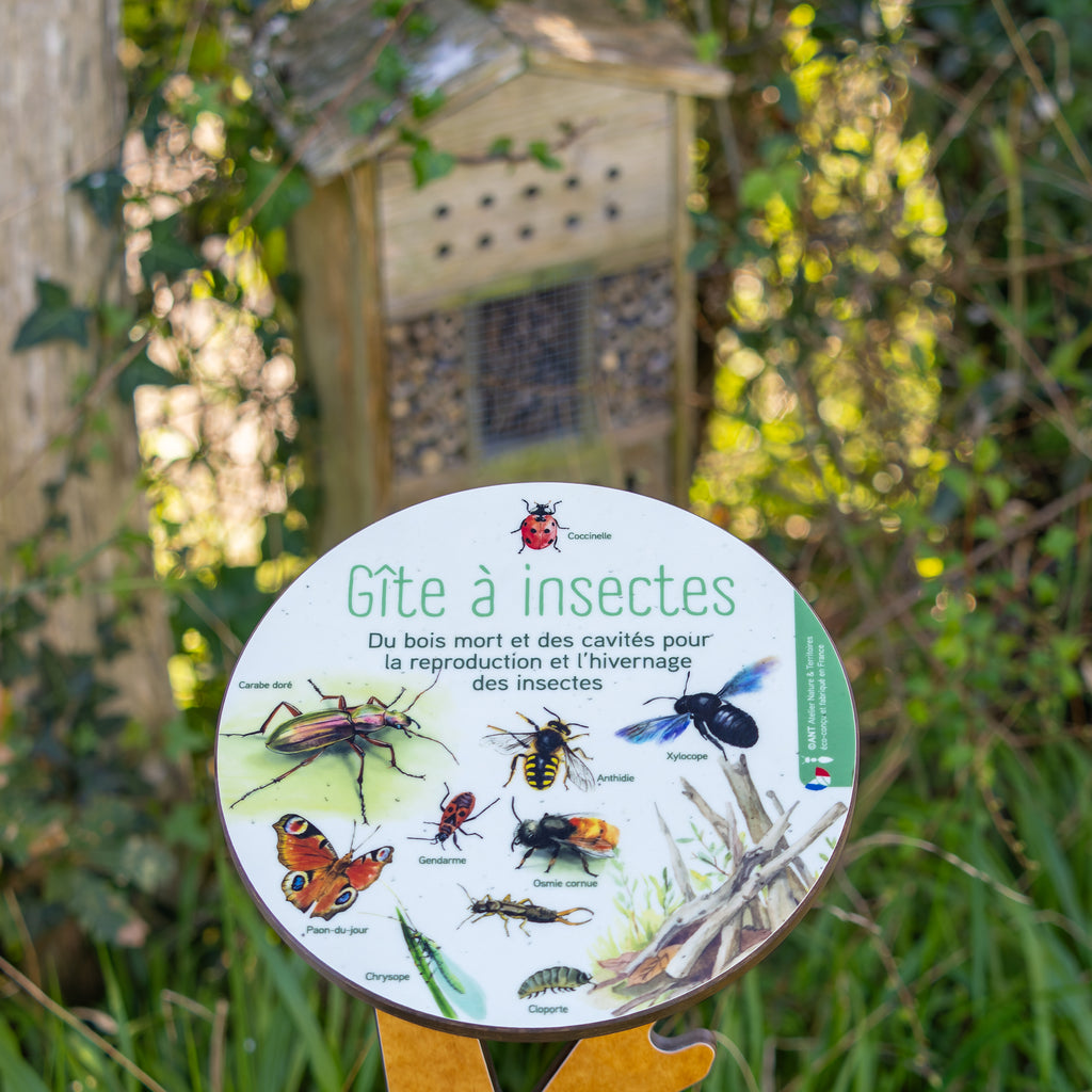 Panneau pédagogique pour comprendre les hôtels à insecte et les gîtes pour la faune