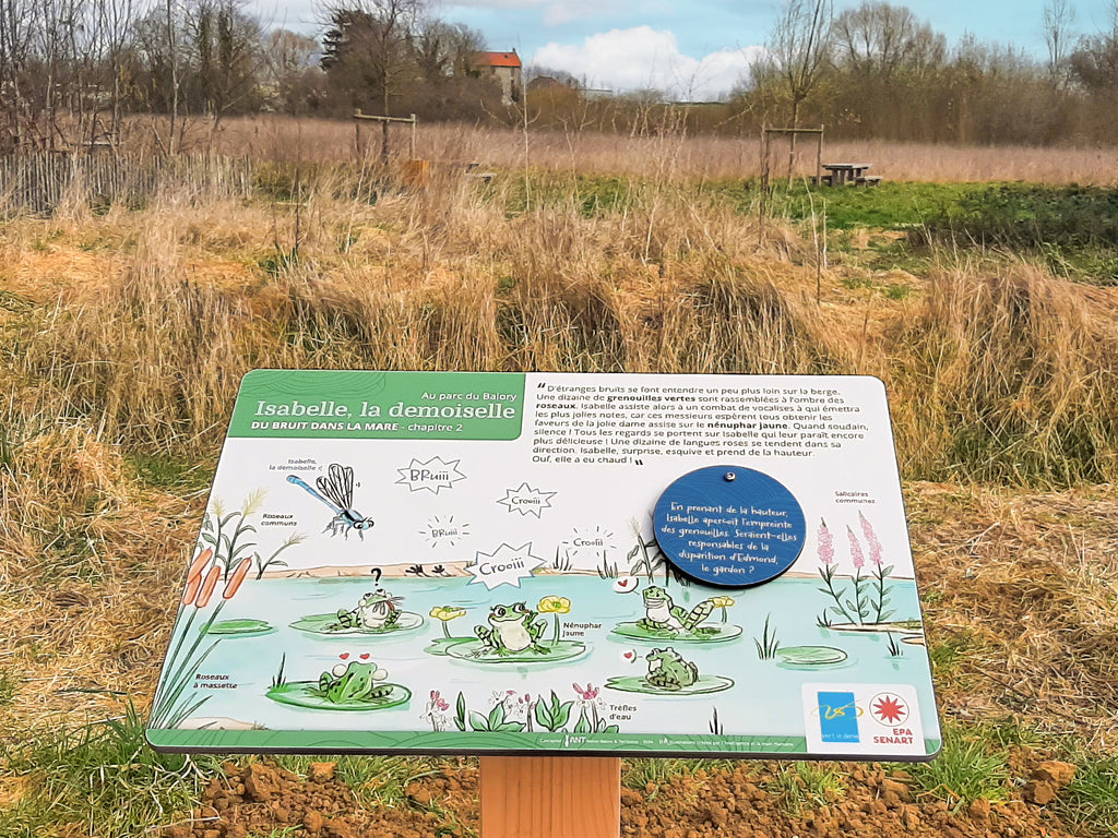 Signalétique pédagogique fabriquée en France sur support bois. Ce panneau, ou table de lecture, renseigne sur la faune et la flore de la mare, avec un focus sur les grenouilles vertes et les nénuphars jaunes. Installé dans un parc. signalétique pédagogique, panneau pédagogique, parcours, aire de jeux, sentier, espace vert, nature en ville
