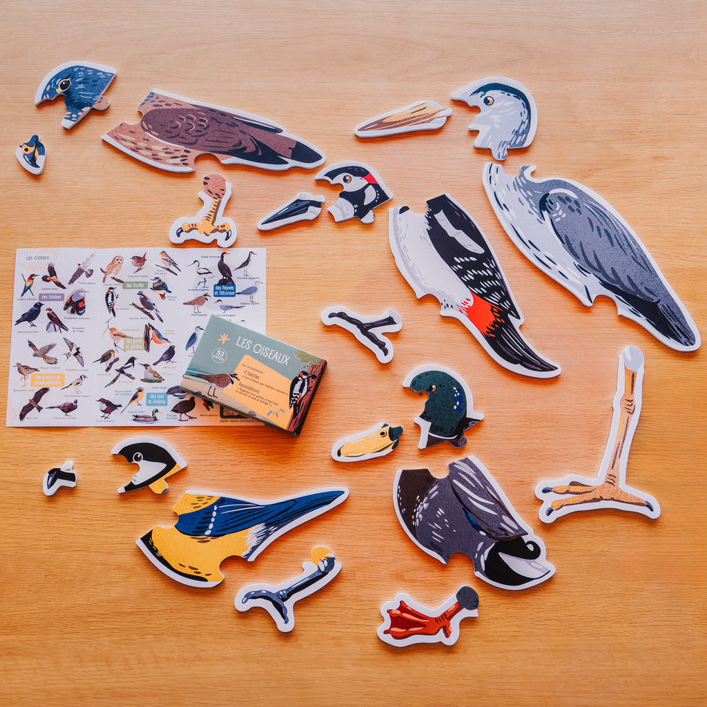 Puzzles PVC grand format pour reconstituer : une mésange, un héron, un faucon crécerelle, un pic épeiche, un canard colvert / 20 PIÈCES :  Bec - Tête - Corps - Pattes - l'objectif est de reconstituer les oiseaux, de prendre conscience des différentes formes de bec et de pattes.