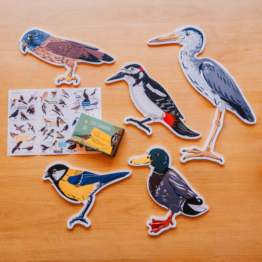Puzzles PVC grand format pour reconstituer : une mésange, un héron, un faucon crécerelle, un pic épeiche, un canard colvert / 20 PIÈCES :  Bec - Tête - Corps - Pattes - l'objectif est de reconstituer les oiseaux, de prendre conscience des différentes formes de bec et de pattes.