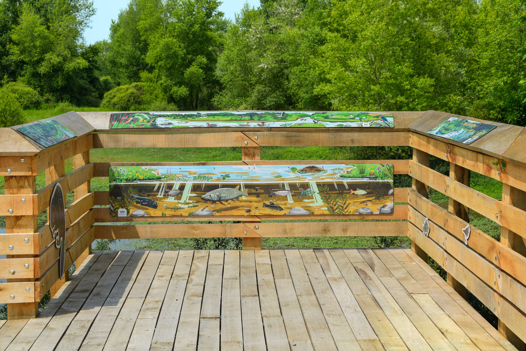 Signalétique pédagogique personnalisée, fabriquée en France sur support bois. Installé dans un parc proche de la Loire. Signalétique pédagogique, panneau pédagogique, parcours, sentier, espace vert naturel, rivière, faune et flore