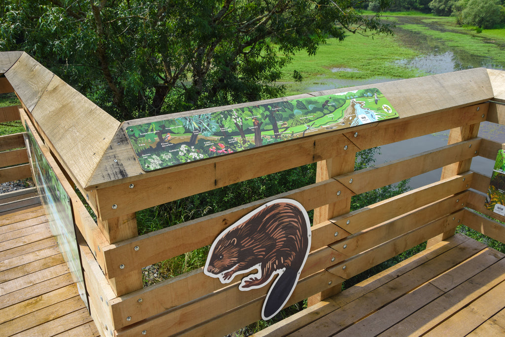 Signalétique pédagogique personnalisée, fabriquée en France sur support bois. Installé dans un parc proche de la Loire. Signalétique pédagogique, panneau pédagogique, parcours, sentier, espace vert naturel, rivière, faune et flore