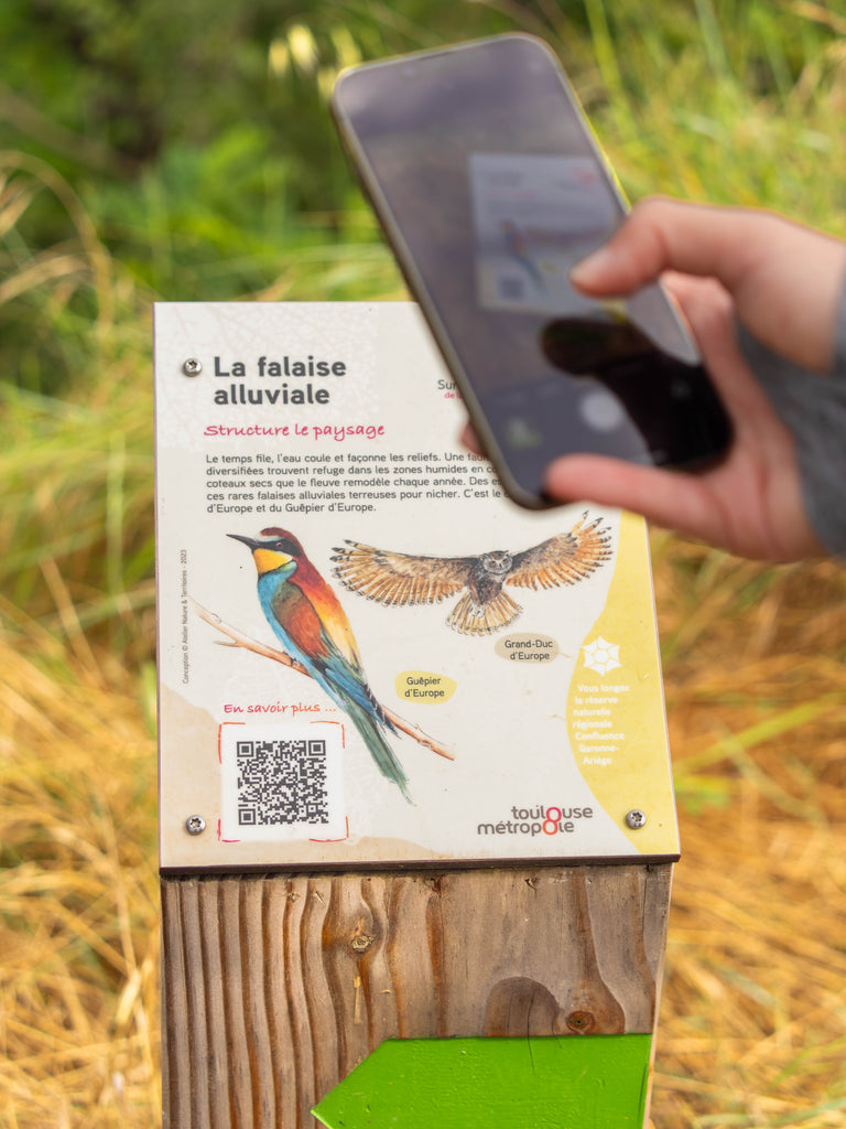 Signalétique personnalisée sur la falaise alluviale. Focus sur certaines espèces d'oiseaux. Conception du panneaux pédagogique.