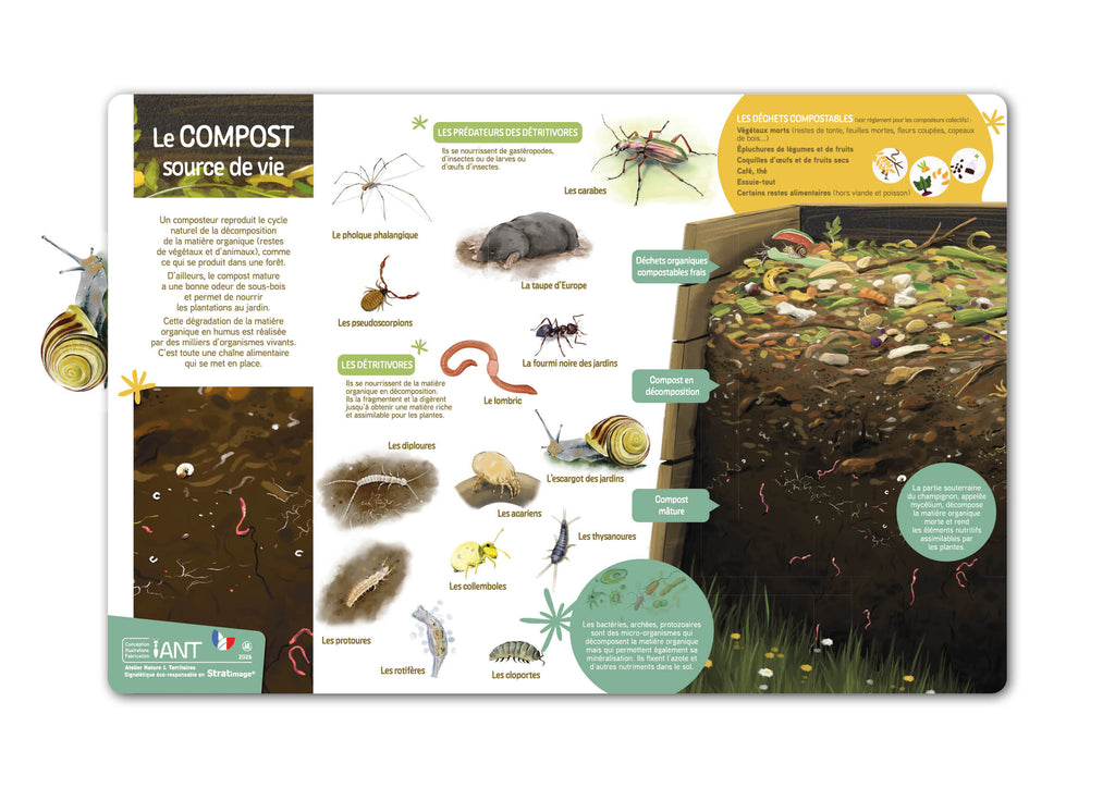Observation Table Compost Table de lecture | Compost et biodiversité du sol